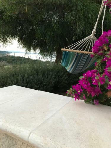 Bed & Breakfast Casa Pineta
