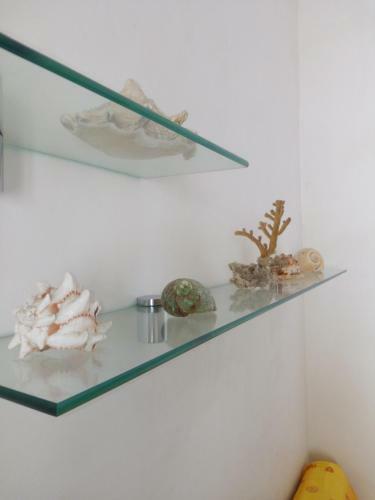 Case Nausica