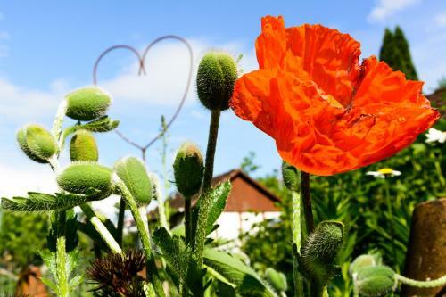 Anna's Siedlungsh�usle