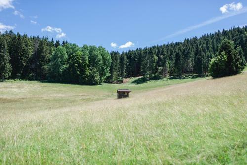 Apartamentos Ferienwohnungen Am Skilift