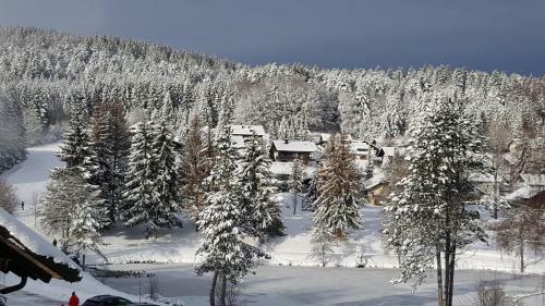 Apartamentos Ferienwohnungen Am Skilift
