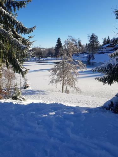 Apartamento Jules Traum Im Schwarzwald