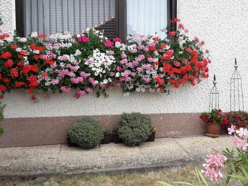Apartamento Haus Auersburg