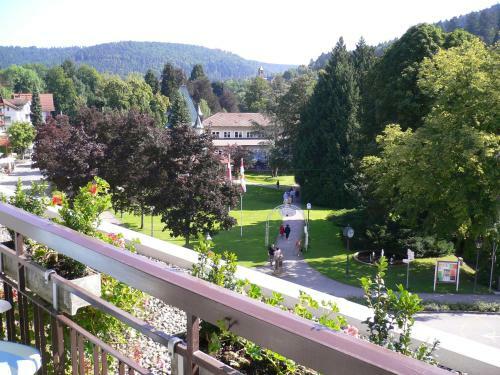 Hostal Hotel Harzer Am Kurpark