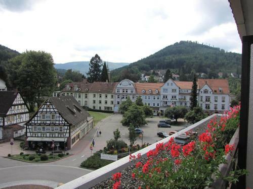 Hostal Hotel Harzer Am Kurpark