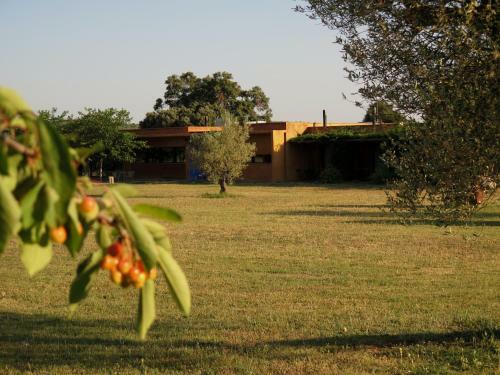Bed & Breakfast Fundaci� L'olivar