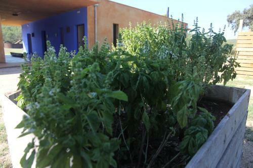 Bed & Breakfast Fundaci� L'olivar