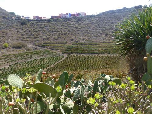 Villa Del Monte B&B Y Bike