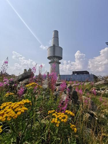 Apartamento Ferienwohnung 360�