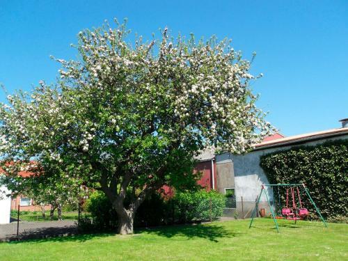 Apartamento Ferienhof Manowski Nr3