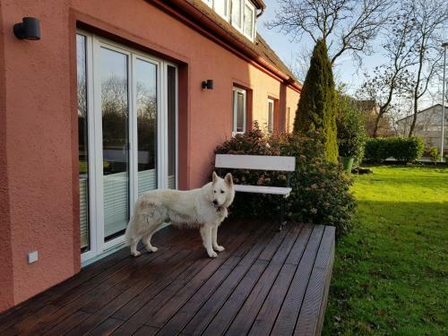 Apartamento Haus Am Teich - Vogelflug