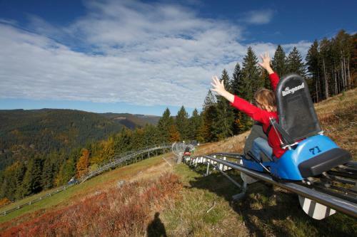Apartamento Ferienwohnung Og 02 Im Haus Vis-a-vis, Feldberg