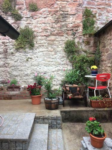 Apartamento Natur Und Neckarblick Bei Heidelberg