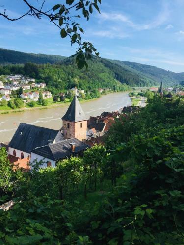 Apartamento Natur Und Neckarblick Bei Heidelberg