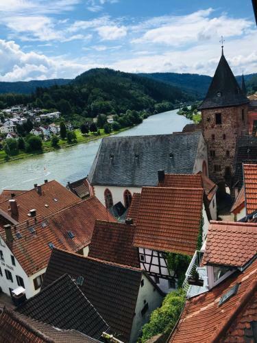 Apartamento Natur Und Neckarblick Bei Heidelberg