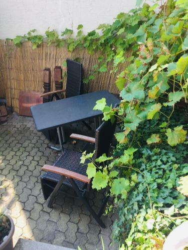 Apartamento Natur Und Neckarblick Bei Heidelberg