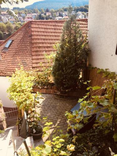 Apartamento Natur Und Neckarblick Bei Heidelberg