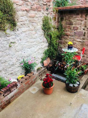 Apartamento Natur Und Neckarblick Bei Heidelberg
