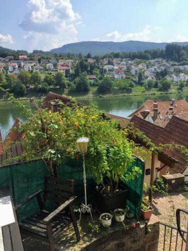 Apartamento Natur Und Neckarblick Bei Heidelberg