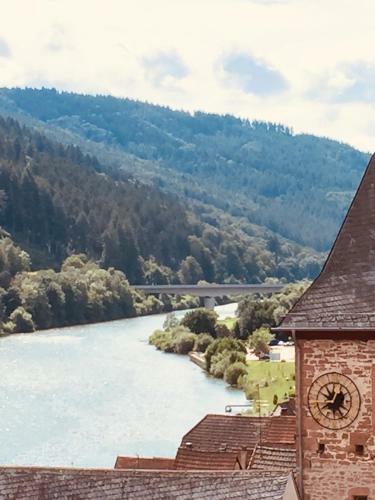 Apartamento Natur Und Neckarblick Bei Heidelberg