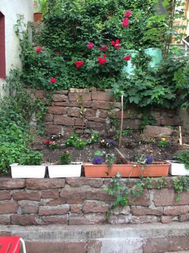 Apartamento Natur Und Neckarblick Bei Heidelberg