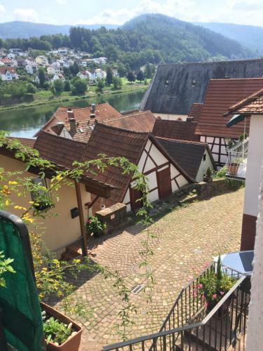 Apartamento Natur Und Neckarblick Bei Heidelberg