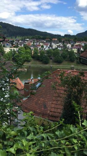 Apartamento Natur Und Neckarblick Bei Heidelberg
