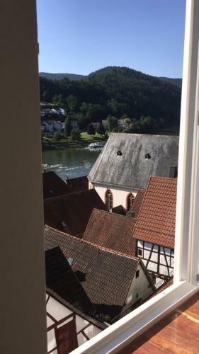 Apartamento Natur Und Neckarblick Bei Heidelberg