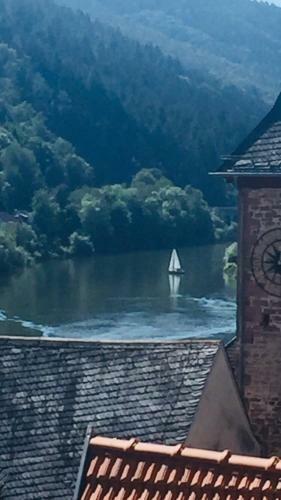 Apartamento Natur Und Neckarblick Bei Heidelberg