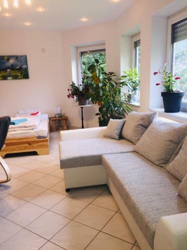 Apartamento Luftkurort, Perle Des Neckartals