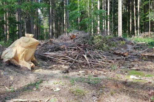 Apartamento Black Forest Schwarzwaldblick Pool Netflix Wifi