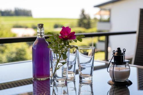 Apartamento Black Forest Schwarzwaldblick Pool Netflix Wifi