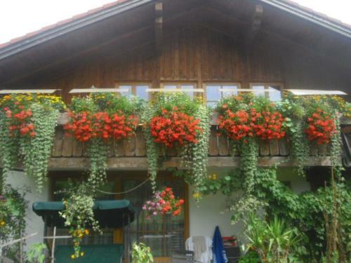 Apartamento Haus Auerhahn