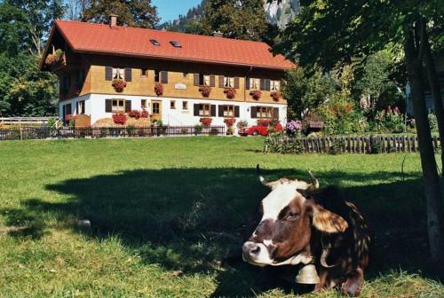 Apartamento G�stehaus Hedwig