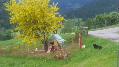 Agroturismo Ferienhof Ammann