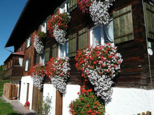 Apartamentos G�stehaus Schaub