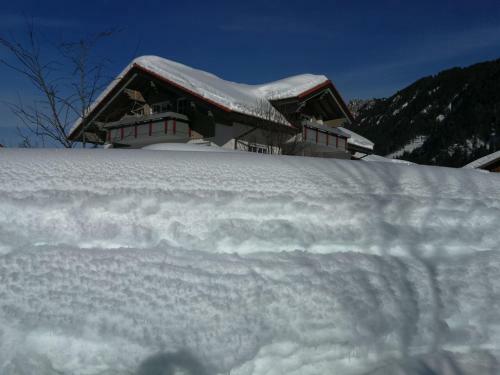 Apartamentos Haus Bergkristall