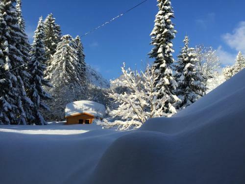 Apartamentos Haus Am Wei�enbach