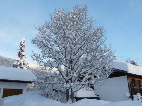 Apartamentos Haus Am Wei�enbach