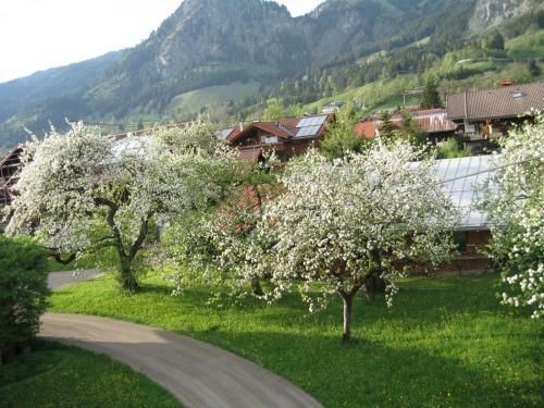 Hostal Landhaus Be�ler
