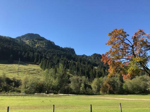 Apartamento Holiday @ Bad Hindelang