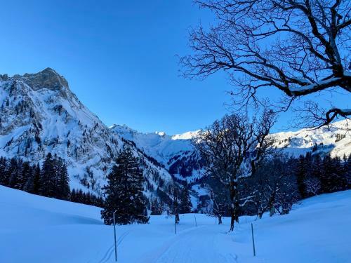 Apartamento Ferienwohnung Alpenzeit