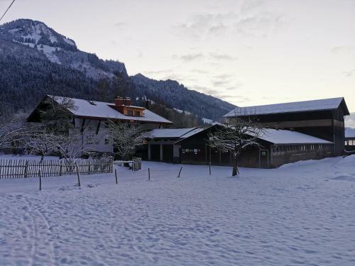 Apartamento Ferienwohnung Wiesenblick