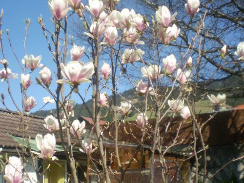 Apartamento Haus Deidl