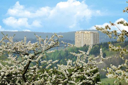 Apartments Home Panoramic, Hohegei�