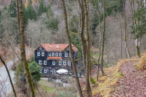 Hotel Waldhaus Wolfsbachm�hle
