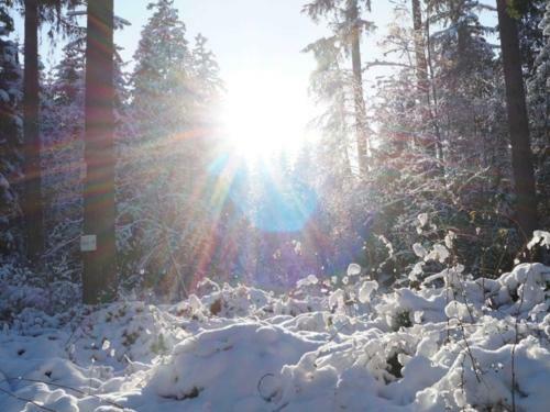 Apartamento Fernblick Hohegeiss Sauna Hallenbad