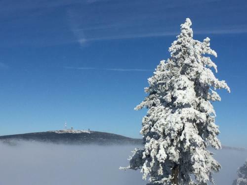 Apartamento Ferienwohnung Harz-flair 264