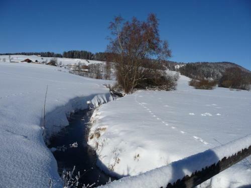 Apartamento Haus Bayrhof