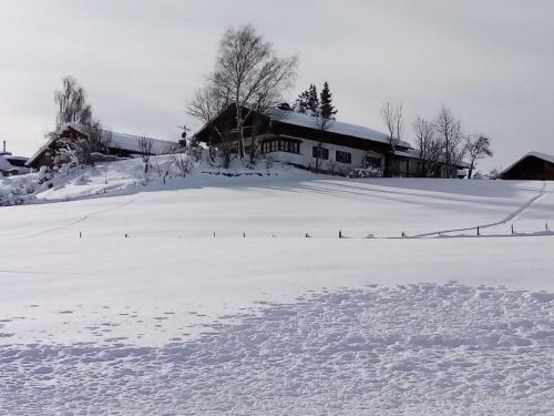 Apartamento Haus Hopfenseeblick
